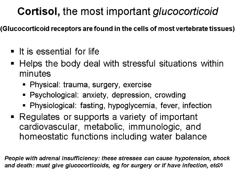 26 Cortisol, the most important glucocorticoid   (Glucocorticoid receptors are found in the